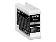 Epson Tintenpatronen C13T46S700 2