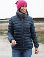 Ladies` Ice Bird Padded Jacket