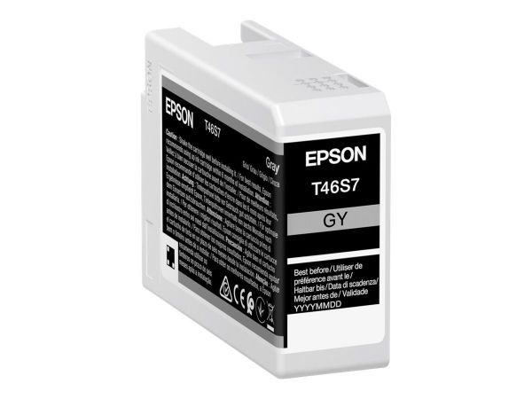 Epson Tintenpatronen C13T46S700 1